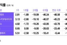 BTS·빅뱅 돌아와도 소용없네… 엔터ETF 수익률 '-40%' 비명