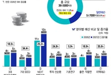 '3대 메가'가 이끌고 '7대 씨앗'이 따른다…내년 국가 R&amp;D 39.5조