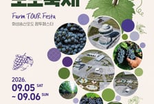 맛보고, 즐기고, 밟고…'제12회 화성송산포도축제' 에코팜서 열린다