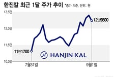 한진칼은 '더 사야 할 싸움', 고려아연은 '표 대결'…다른 다음 수