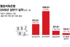 900억 손실 입었는데… 웰컴저축은행, 반년 만에 거의 메웠네