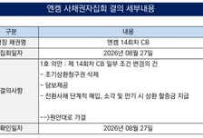 [더벨][엔켐 재무전략 점검]시한폭탄 전환사채, 풋옵션 삭제 '유동성 리스크 이연'