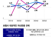 "돈은 있는데" M&amp;A '큰 장' 앞에 작아진다...보험사 규제 '족쇄' 풀릴까