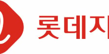"롯데지주, 예상 배당수익 5.2%…주가 하방위험 제한적"-SK