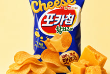 오리온, 햇감자로 만든 '포카칩 황치즈맛' 출시
