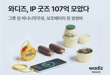 "쌍쌍바가 보조배터리로"…와디즈 이색굿즈에 107억 몰렸다