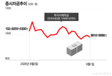 거래대금 50조→26조 '뚝'...국장 잠잠해지자, 개미들 다시 미장 '기웃'