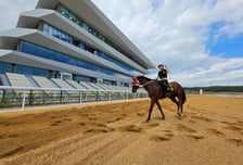 17년 기다린 '말의 도시' 영천…국내 4번째 렛츠런파크 문 연다