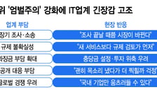 수백억 과징금, 법원서 뒤집혀도…규제 탓 '골든타임' 놓치는 IT
