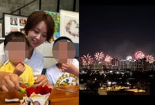 46억 자택서 불꽃축제 즐긴 황정음…다시 소환된 '43억 횡령'
