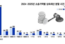 "내가 엄마 모셨는데 똑같이 나눠?"...1억 미만 '상속 전쟁' 늘었다
