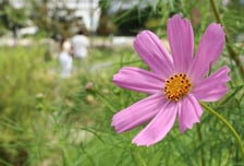 [오늘 날씨] "겉옷 챙기세요"…일교차 큰 가을 성큼