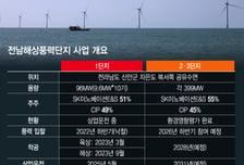 남산타워 높이 풍력발전기 '쌩쌩'…9만가구 밝히고 공급망 키운다[르포]