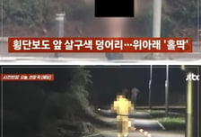 성추행남 연대 출몰 3개월째...'복면 쓰고 나체'로 나타나는 심리