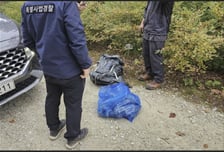 산림청, '가을철 산림 내 불법행위' 집중 단속…다음 달 말까지