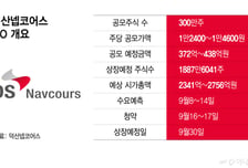 중복상장 뚫은 덕산넵코어스, 코스닥 노크