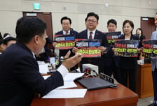 '성폭력 등 보완수사' 중수청법 개정안, 與주도 행안위 통과…국힘 "땜질 개정"