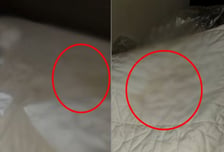 비닐장갑 낀 '결벽증' 투숙객 반전..."침대에 소변 테러, 악취 진동"