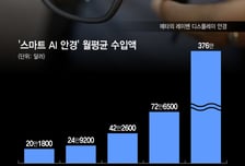 [단독]'AI 스마트안경' 月수입액 4년전의 19배...당신이 촬영되고 있다