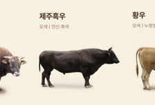 마블링 넘어 품종·산지로…한우 즐기는 기준 달라진다