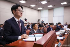 대미투자 난항, 국회 보고 돌연 연기…MOU 서명·발표도 미뤄진다