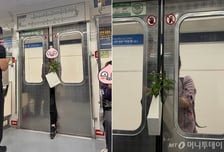 "제발 다음 열차 타세요"…닫히는 문에 화분 밀어 넣고 발 '턱'