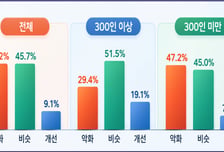 올해 韓경제 3% 성장한다는데.."추석 경기 개선됐다" 기업은 9.1%