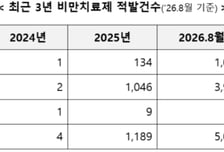 관세청, 8월까지 비만치료제 불법반입 지난해 전체의 4.2배 적발