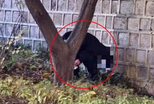 창호지 뚫고 용변까지…궁궐 관람객 2000만 시대 처벌은 '구멍'