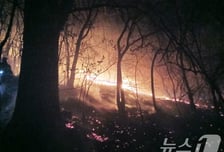 "충동 못 참겠어" 96차례 산불 낸 60대, 출소 후 또...이번엔 징역 12년