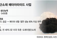 AI 열기 뜨거울수록… '슈퍼섬유' 뜬다