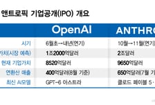 IPO 후에도 성장세 유지 '난제'… 기업가치 증명 '과제'