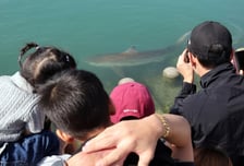 "부산 상어 보러 왔다" 공원엔 카페 딱 하나...주문 폭주 '대박'