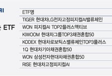 주가 40% 빠졌는데…현대차 담은 '피지컬 AI' ETF 올해만 7개