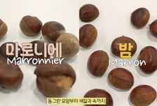 이게 밤이 아니라고?…"먹으면 큰일" 위세척 갑니다