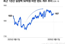 ETF 쏠림의 그늘…'자투리 펀드' 올해만 50개 늘었다