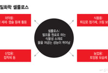 알약부터 반도체까지…영토 넓히는 롯데정밀화학 셀룰로스[R&amp;D인사이드]