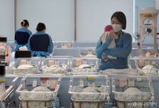 7월 출생아 11.1%↑…'황금돼지 해' 이후 19년만 최대 증가율