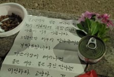 "길냥이가 여기서 죽었습니다"…간식과 꽃이 놓였다