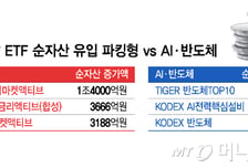 "증시 들어가, 말아" 돈 많이 몰리는 ETF 봤더니...'극과 극' 행보