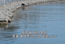 상어 찍다 폰 '풍덩'…직접 물에 들어가 건졌는데, 직후 상어 출몰