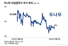 "네두결합 언제해요" 두나무 장외주가 약세