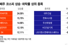 "이게 추석 선물이지" 24% '껑충'...삼전닉스보다 더 뛴 이 종목[김근희의 증시 랩업]