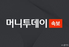 [속보] WSJ "트럼프, 이란 측 휴전안 거부…중간선거 이후 폭격 재개할듯"