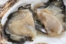 굴 아래서 나온 5㎝ 칼날…손님 "매장 대응이 더 충격적"