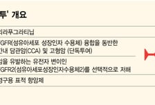 HLB, 신약 美 승인 받으며 주가 훨훨… 바이오 투심도 회복?