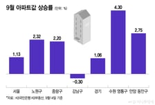 "서울 10억 이하 아파트 있나요?" 두 달 새 1억 '쑥'…경기 남부도 뜨겁다