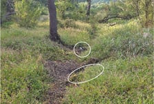 軍 "北 지뢰 가능성 높아…최종 판정시 상응하는 조치"(종합)