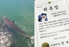 사용료·굿즈 장사 노리나…부산 홍보대사 '부캉이', 상표권은 개인이 먼저