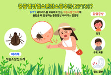 지난해 '살인진드기' 65% 폭증… '사람-동물 감염병' 10년 추이 봤더니